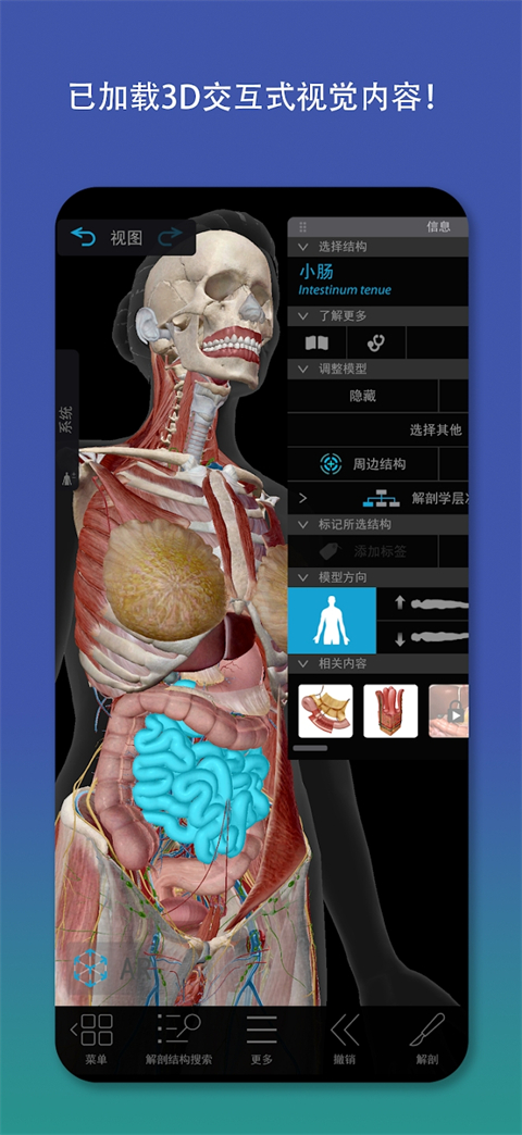 atlas人体解剖软件安卓 截图3