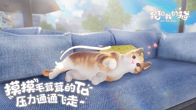 我和我的猫 截图1