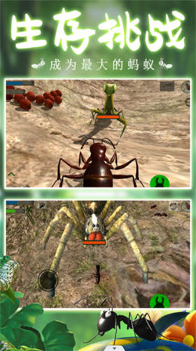 模拟蚂蚁大作战 截图4