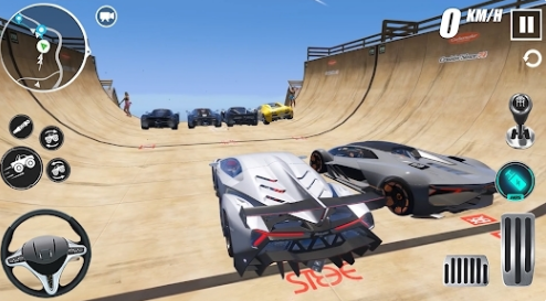汽车驾驶模拟器赛车3D游戏 1